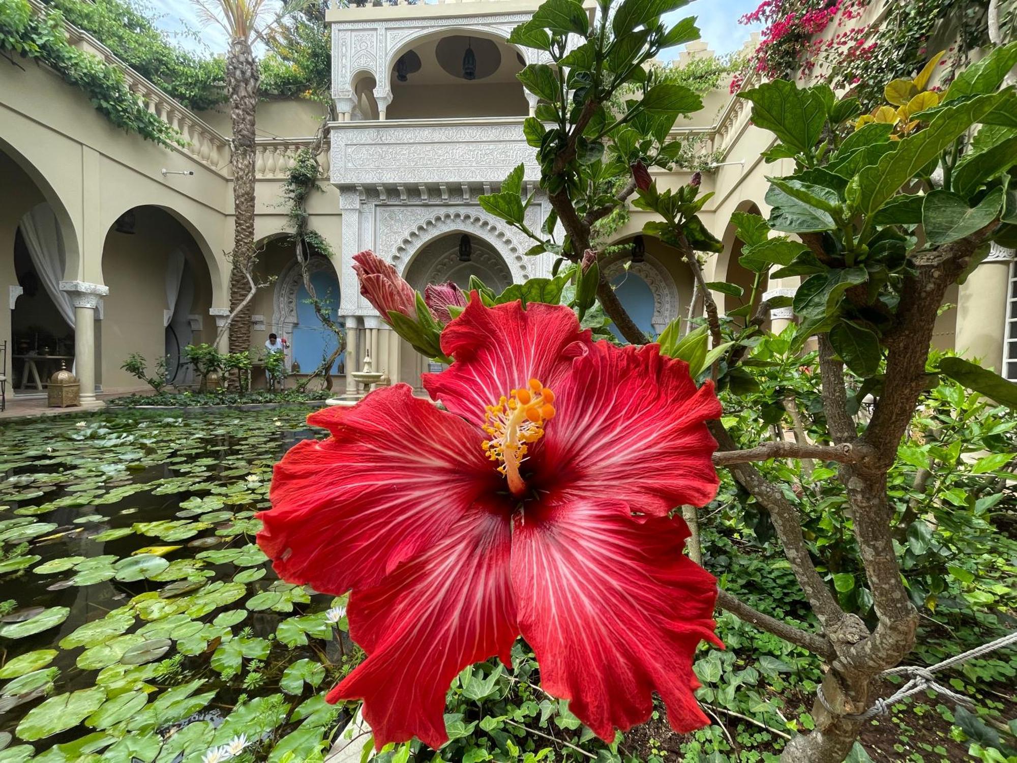 Riad Dar El Malaika 엘자디다 외부 사진